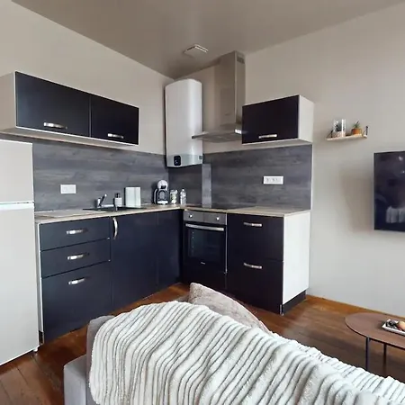 Le Nid Cosy - T2 - Parking Prive Appartement